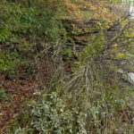 Landesregierungsgrund_2