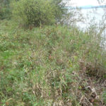 Landesregierungsgrund_4